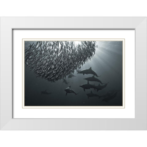 The Dark Side White Modern Wood Framed Art Print with Double Matting by Safonov, Alexander