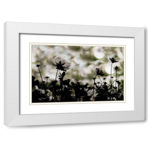 Autumn Chorus White Modern Wood Framed Art Print with Double Matting by Ikeda, Keisuke