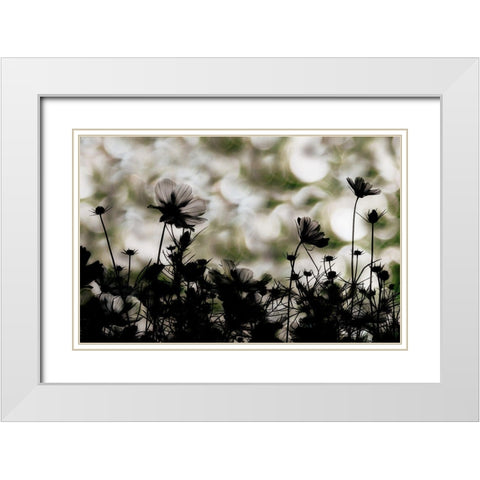 Autumn Chorus White Modern Wood Framed Art Print with Double Matting by Ikeda, Keisuke