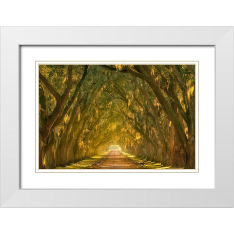 Illumination Alley White Modern Wood Framed Art Print with Double Matting by Moore, Chris