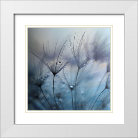 Teardrops White Modern Wood Framed Art Print with Double Matting by Irthum, Mathieu