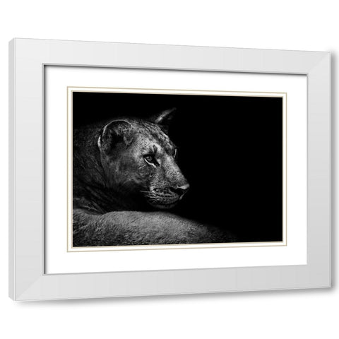 Lion White Modern Wood Framed Art Print with Double Matting by Wildphotoart