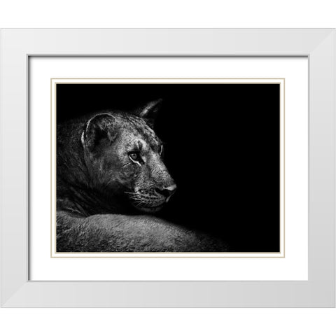 Lion White Modern Wood Framed Art Print with Double Matting by Wildphotoart