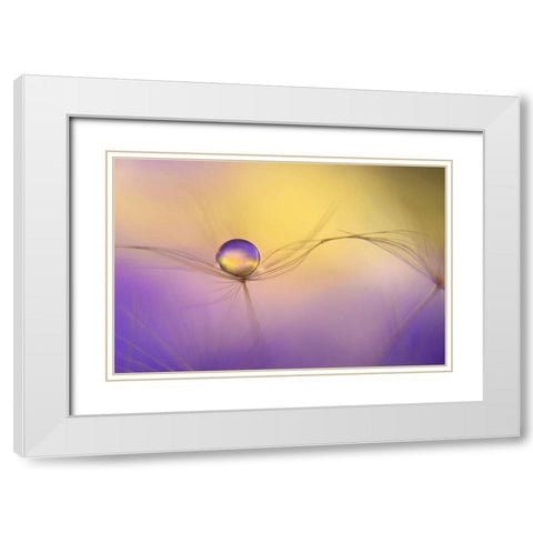 In Arms White Modern Wood Framed Art Print with Double Matting by Westum, Heidi