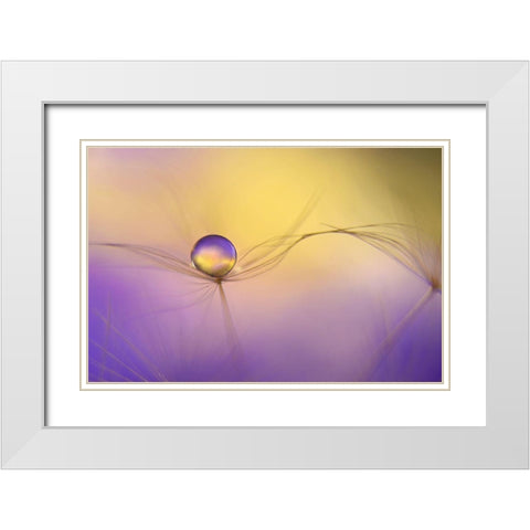 In Arms White Modern Wood Framed Art Print with Double Matting by Westum, Heidi