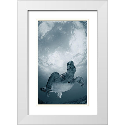 Elegy White Modern Wood Framed Art Print with Double Matting by Narchuk, Andrey