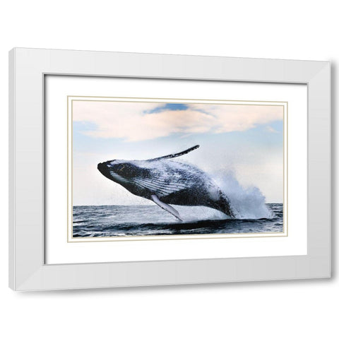 Breach White Modern Wood Framed Art Print with Double Matting by Safonov, Alexander