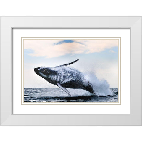 Breach White Modern Wood Framed Art Print with Double Matting by Safonov, Alexander