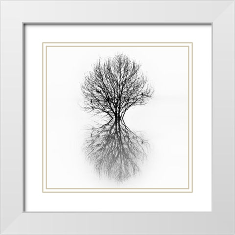 Diluvium White Modern Wood Framed Art Print with Double Matting by Abrantes, Paulo