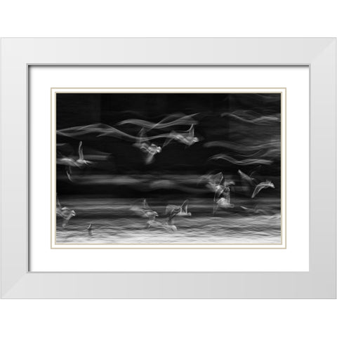 The Boundary Between Reality And Fantasy White Modern Wood Framed Art Print with Double Matting by Bakhtari Bonab, Ebrahim