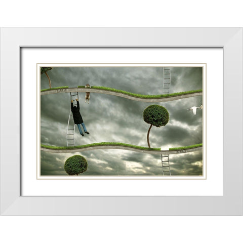 Last Level White Modern Wood Framed Art Print with Double Matting by Solo, Mister