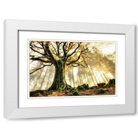 November White Modern Wood Framed Art Print with Double Matting by Kiciak, Christophe