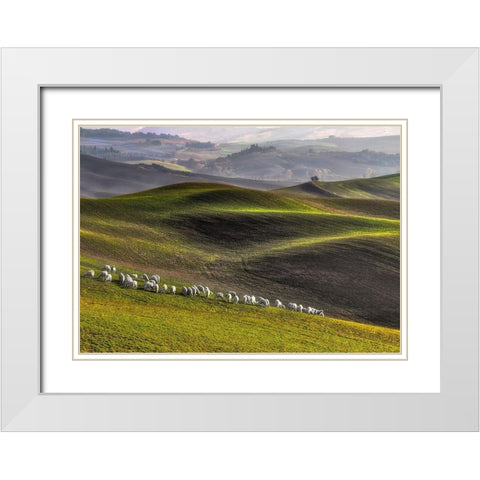 Pastoral White Modern Wood Framed Art Print with Double Matting by Lipinski C, Roman