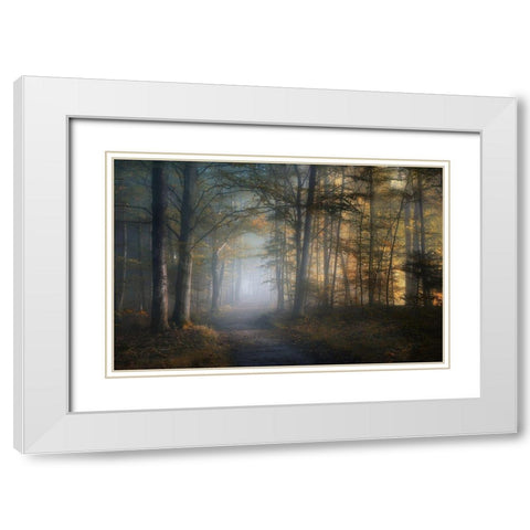 Autumn Symphony White Modern Wood Framed Art Print with Double Matting by Maier, Norbert