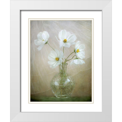 Cosmos Breeze White Modern Wood Framed Art Print with Double Matting by Disher, Mandy