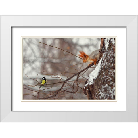 Hi White Modern Wood Framed Art Print with Double Matting by Laudin, Dmitry