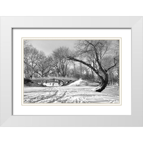 Symbiosis White Modern Wood Framed Art Print with Double Matting by Brancoveanu, Mariuca