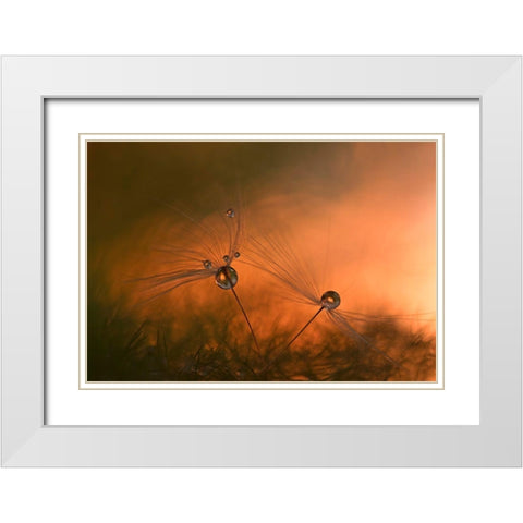 Forest Fire White Modern Wood Framed Art Print with Double Matting by Westum, Heidi