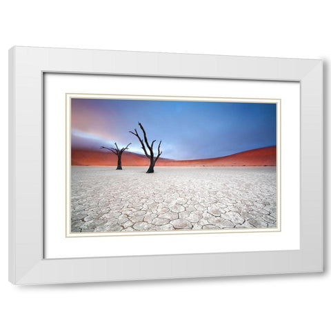 Mist Over Deadvlei White Modern Wood Framed Art Print with Double Matting by Mcrae, Ben
