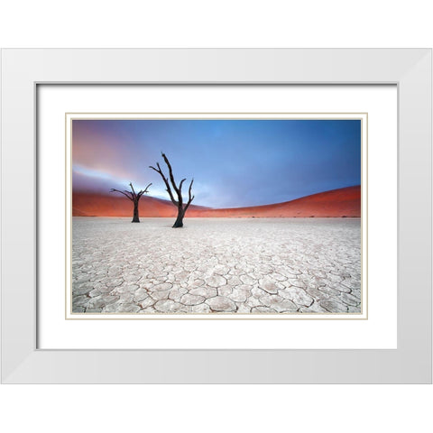 Mist Over Deadvlei White Modern Wood Framed Art Print with Double Matting by Mcrae, Ben