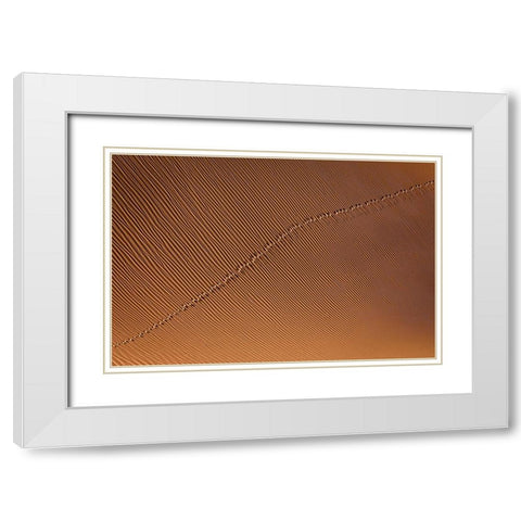Footprint White Modern Wood Framed Art Print with Double Matting by Momeni, Mohammadreza