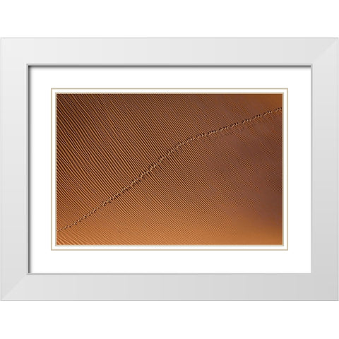 Footprint White Modern Wood Framed Art Print with Double Matting by Momeni, Mohammadreza