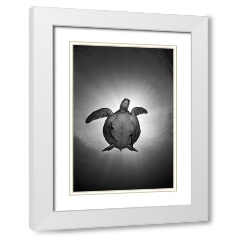 Sun White Modern Wood Framed Art Print with Double Matting by Narchuk, Andrey