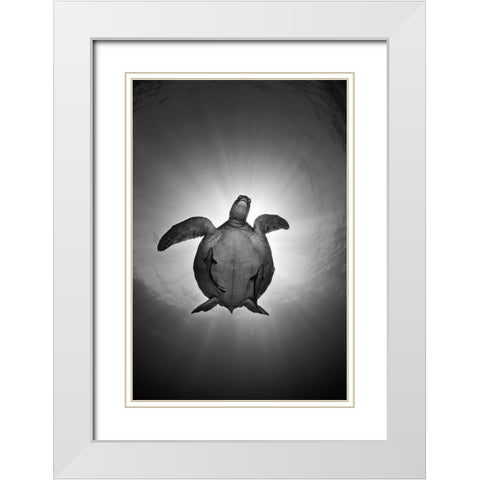 Sun White Modern Wood Framed Art Print with Double Matting by Narchuk, Andrey