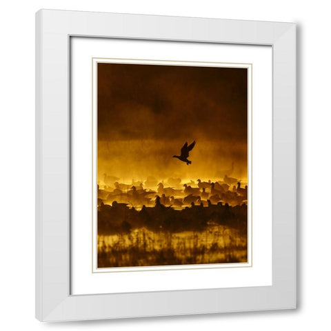 Fire In The Mist White Modern Wood Framed Art Print with Double Matting by Forns, Alfred