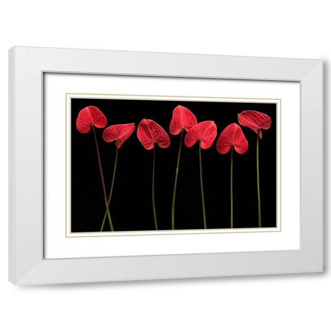 Botanical Hearts White Modern Wood Framed Art Print with Double Matting by Barbu, Floriana