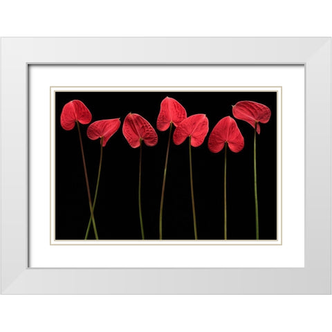 Botanical Hearts White Modern Wood Framed Art Print with Double Matting by Barbu, Floriana