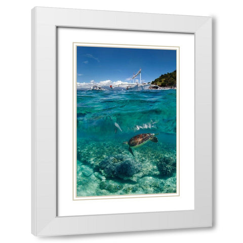 Dive To Philippines White Modern Wood Framed Art Print with Double Matting by Narchuk, Andrey