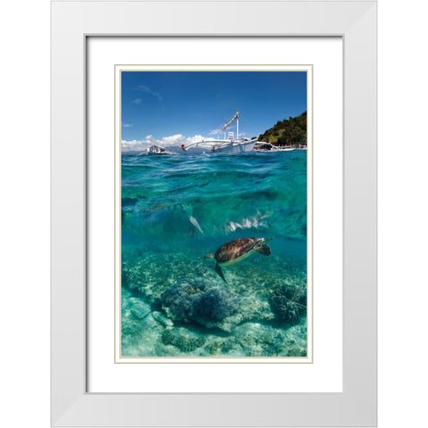 Dive To Philippines White Modern Wood Framed Art Print with Double Matting by Narchuk, Andrey