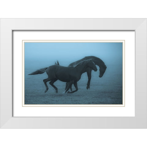 Horses In The Fog White Modern Wood Framed Art Print with Double Matting by Wallberg, Allan