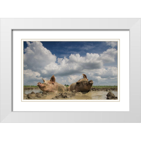 Mudpool Fun White Modern Wood Framed Art Print with Double Matting by Van Den, Gert