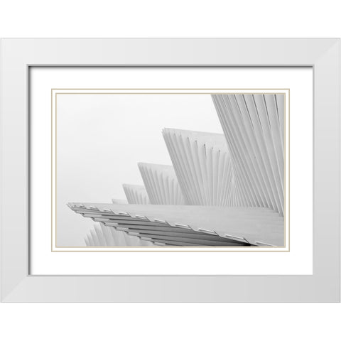 Fly White Modern Wood Framed Art Print with Double Matting by Della Latta, Massimo