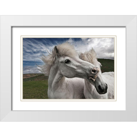 Playtime White Modern Wood Framed Art Print with Double Matting by Ingibergsson, Bragi