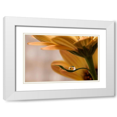 Protected White Modern Wood Framed Art Print with Double Matting by Westum, Heidi
