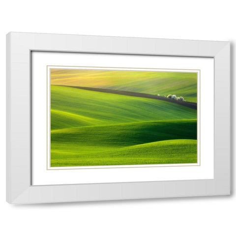 Spring Time... White Modern Wood Framed Art Print with Double Matting by Browko, Krzysztof
