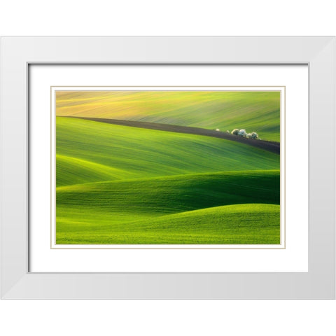 Spring Time... White Modern Wood Framed Art Print with Double Matting by Browko, Krzysztof