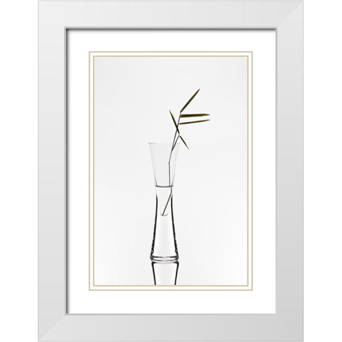 Bamboo White Modern Wood Framed Art Print with Double Matting by Pabst, Christian