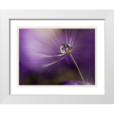 In Shades Of Purple White Modern Wood Framed Art Print with Double Matting by Westum, Heidi