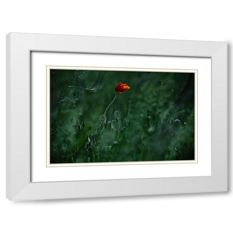 Blow Me Away... White Modern Wood Framed Art Print with Double Matting by Neer, Ildiko