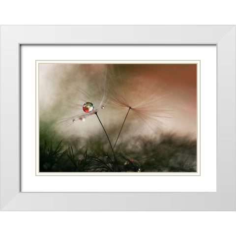 With And Without White Modern Wood Framed Art Print with Double Matting by Westum, Heidi