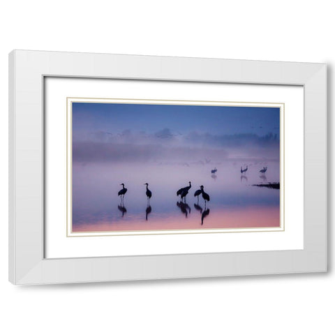 Enchanted Serenity White Modern Wood Framed Art Print with Double Matting by Meizner