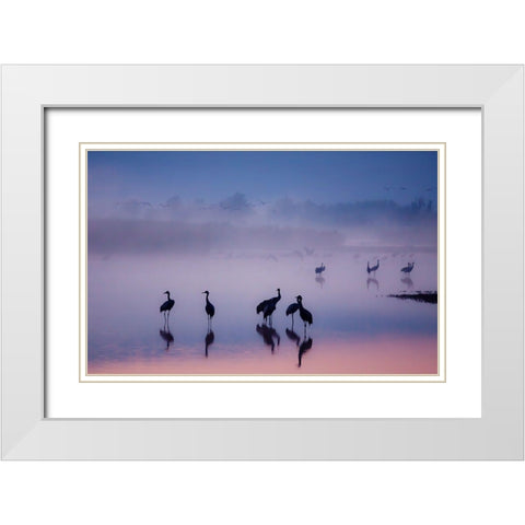 Enchanted Serenity White Modern Wood Framed Art Print with Double Matting by Meizner