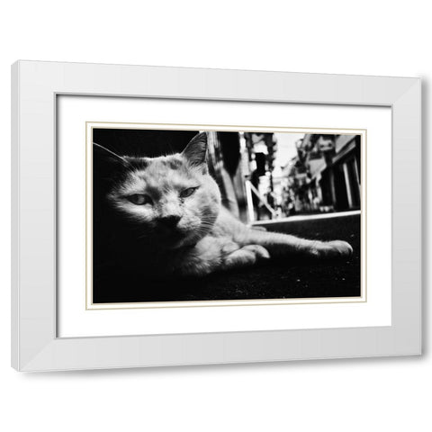 Cat White Modern Wood Framed Art Print with Double Matting by Suzuki, Tatsuo
