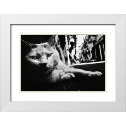 Cat White Modern Wood Framed Art Print with Double Matting by Suzuki, Tatsuo