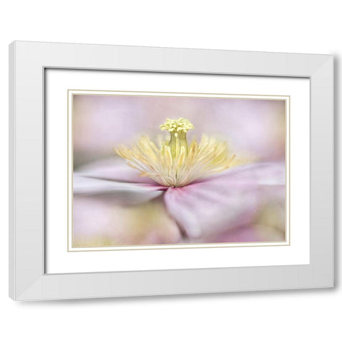 Montana White Modern Wood Framed Art Print with Double Matting by Disher, Mandy