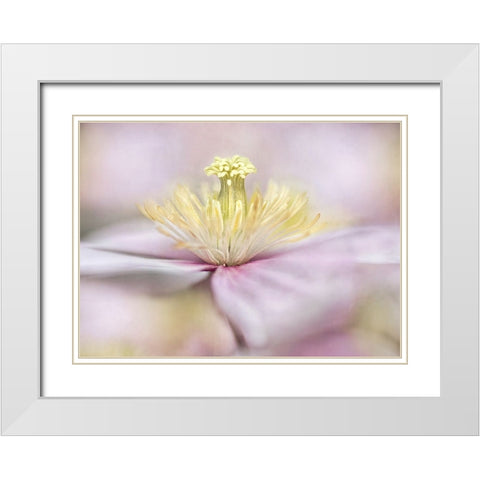 Montana White Modern Wood Framed Art Print with Double Matting by Disher, Mandy